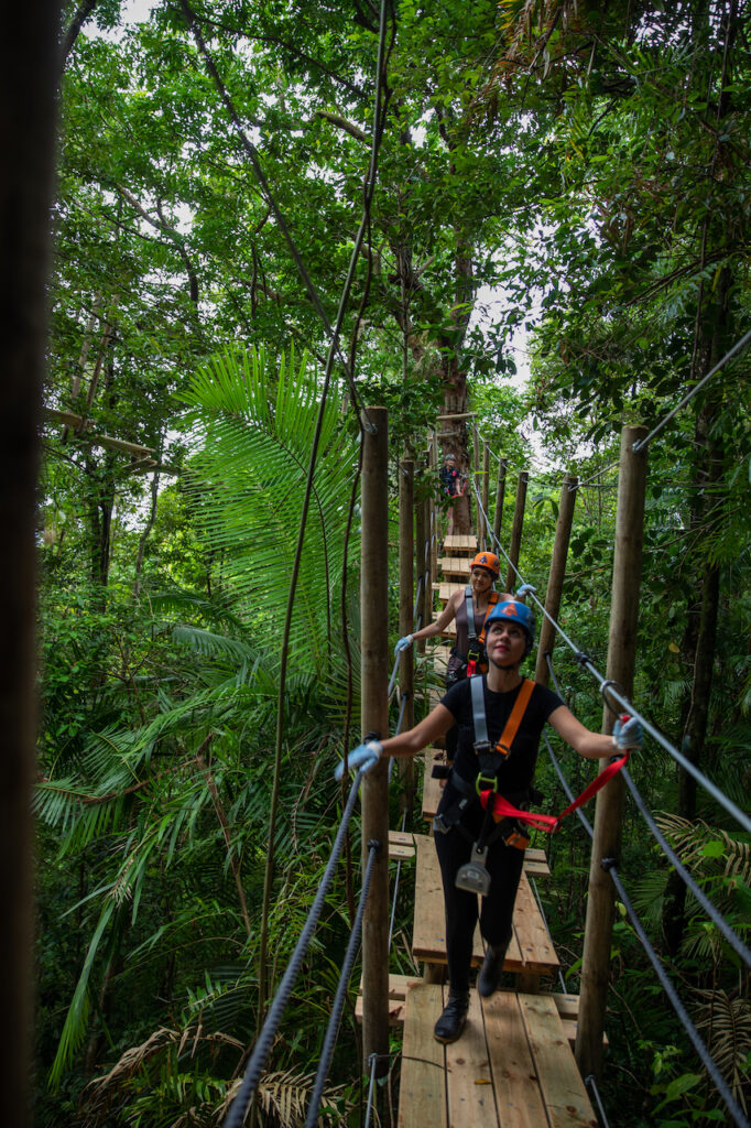 People wearing helmets and harnesses walk along a wooden suspension bridge in a lush, green forest canopy.