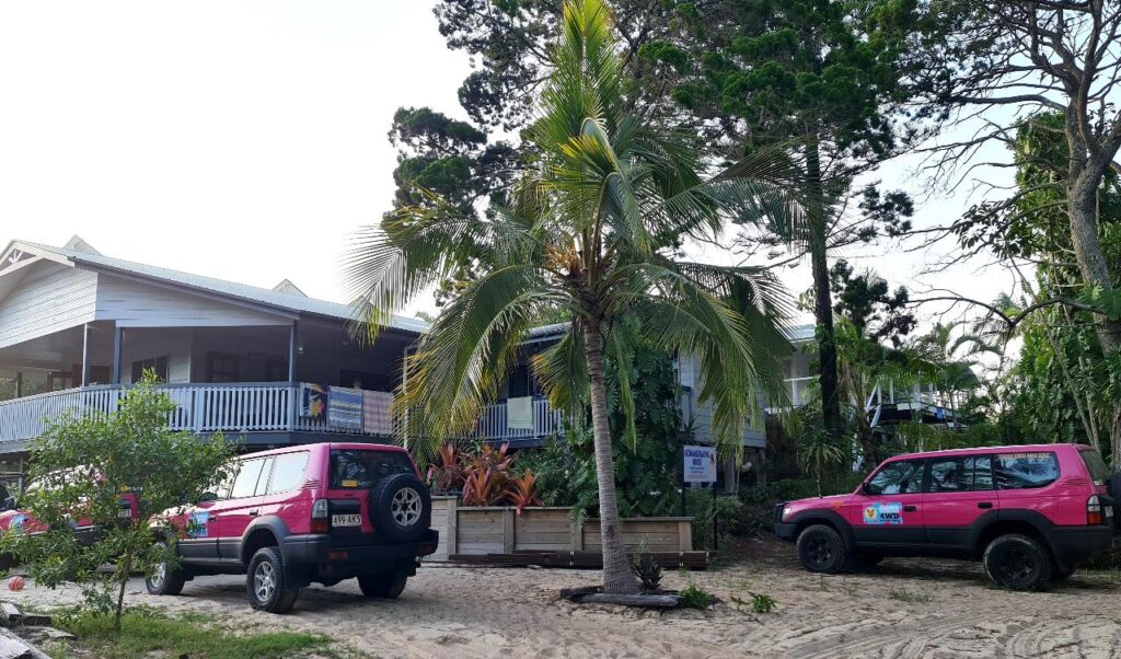 Two pink four-wheel-drive vehicles are parked in front of a tropical-style building surrounded by palm trees and greenery.