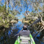Person paddling a green kayak through a narrow, tree-lined waterway under a clear blue sky, surrounded by dense vegetation and calm water reflecting the trees.