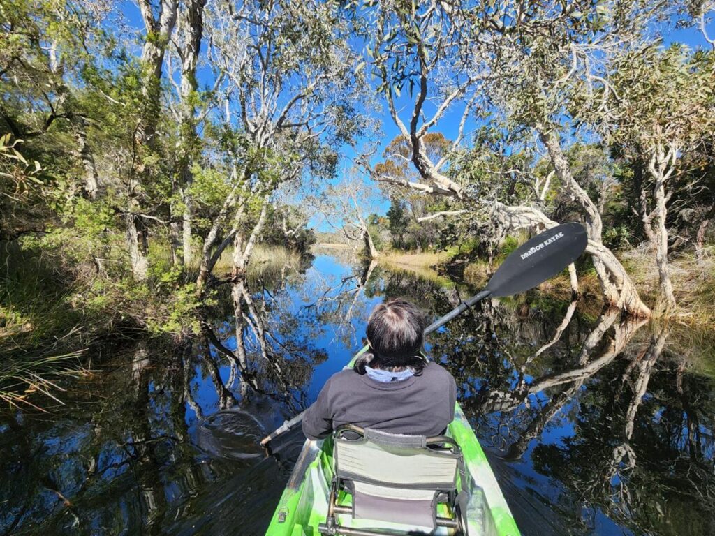Person in a green kayak paddling through calm, narrow water surrounded by trees under a clear blue sky.