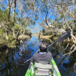 Person in a green kayak paddling through calm, narrow water surrounded by trees under a clear blue sky.