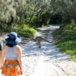 Two people walk on a sandy path toward a kangaroo that is standing ahead of them, surrounded by green bushes and trees.