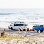 A kangaroo on a sandy dune overlooks a family near a white van and jet skis parked on a beach, with waves in the background.