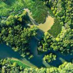Aerial view of a winding river surrounded by dense green forest and patches of wetlands on a sunny day.