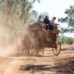 A horse-drawn stagecoach travels on a dusty dirt road with several people sitting on top and a dog standing on the front. Trees and dry vegetation line the path.