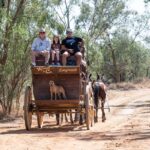 Three people sit on a wooden horse-drawn carriage with a dog painted on the front, traveling on a dirt path surrounded by trees.
