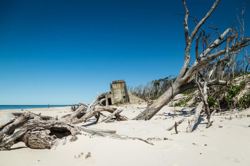 Driftwood and dead trees on a sandy beach with a weathered concrete bunker structure in the background under a clear blue sky.