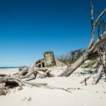 Driftwood and dead trees on a sandy beach with a weathered concrete bunker structure in the background under a clear blue sky.