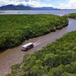 A tour boat travels along a winding brown river surrounded by dense mangrove forest, with mountains and a city visible in the background under a partly cloudy sky.