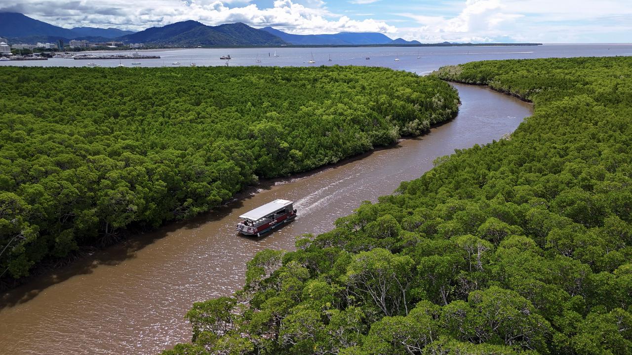 A tour boat travels along a winding brown river surrounded by dense mangrove forest, with mountains and a city visible in the background under a partly cloudy sky.