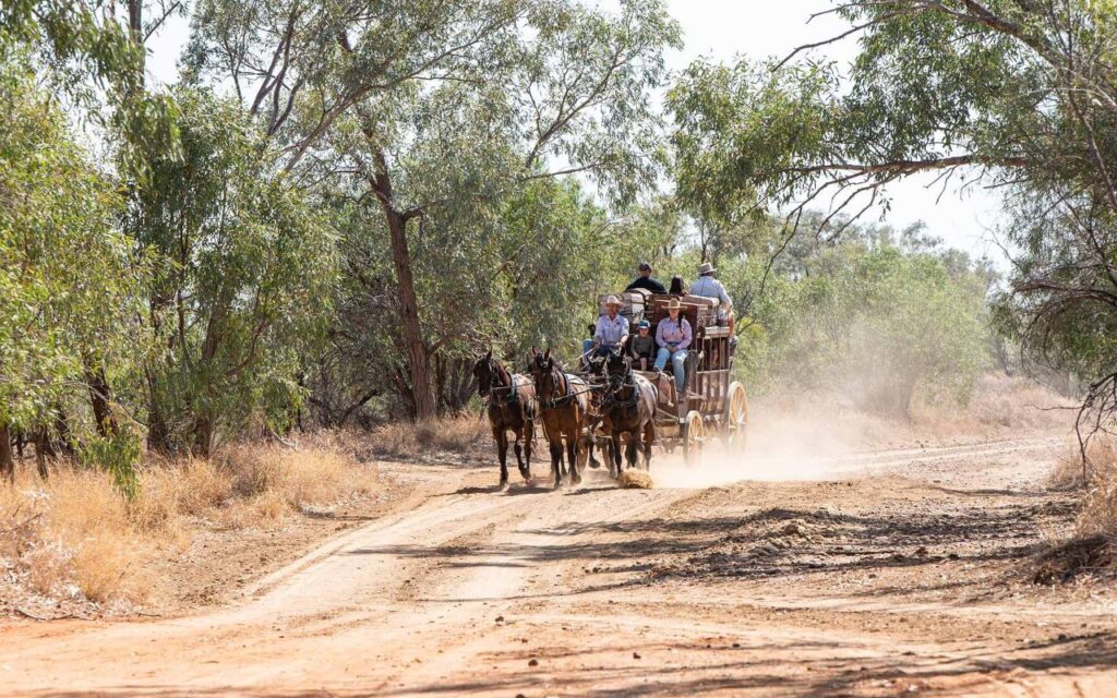 A horse-drawn carriage with passengers travels down a dusty dirt road surrounded by trees on a sunny day.