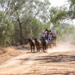 A horse-drawn carriage with passengers travels down a dusty dirt road surrounded by trees on a sunny day.