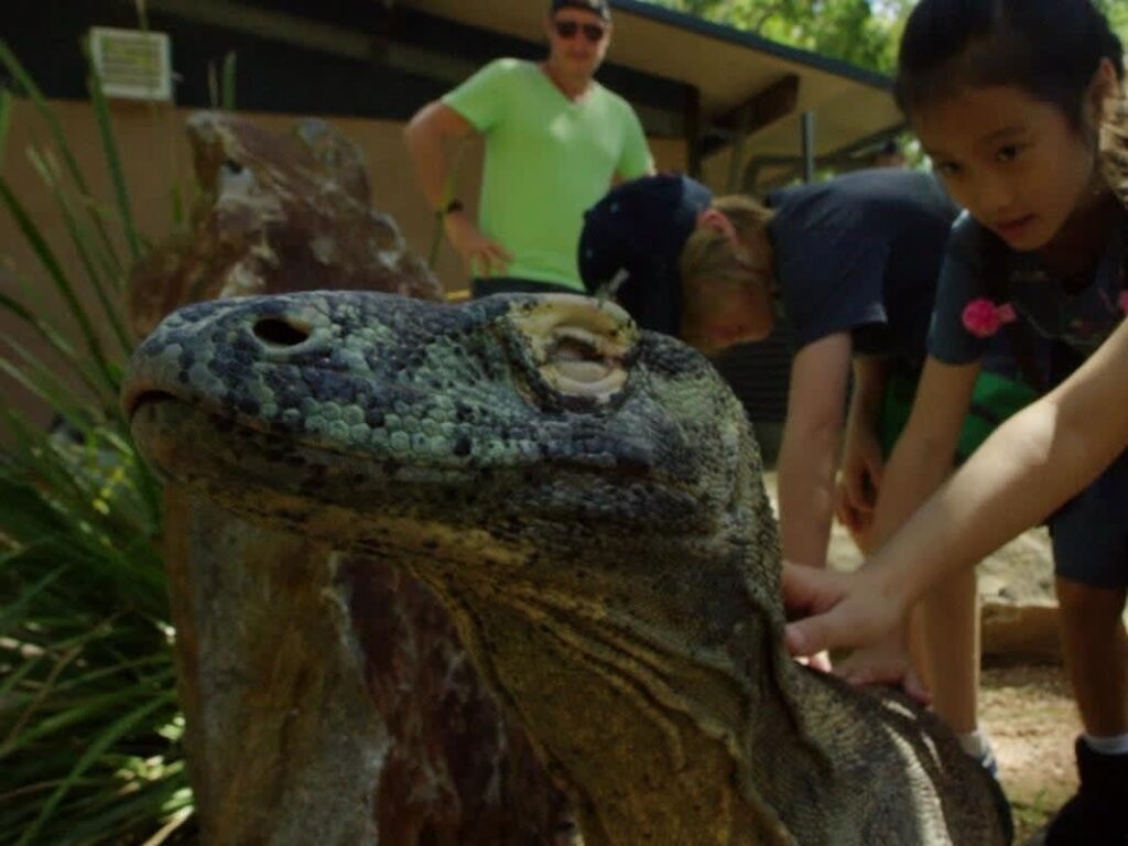 A close-up of a Komodo dragon being touched by two children while an adult stands nearby outdoors.