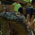 A close-up of a Komodo dragon being touched by two children while an adult stands nearby outdoors.