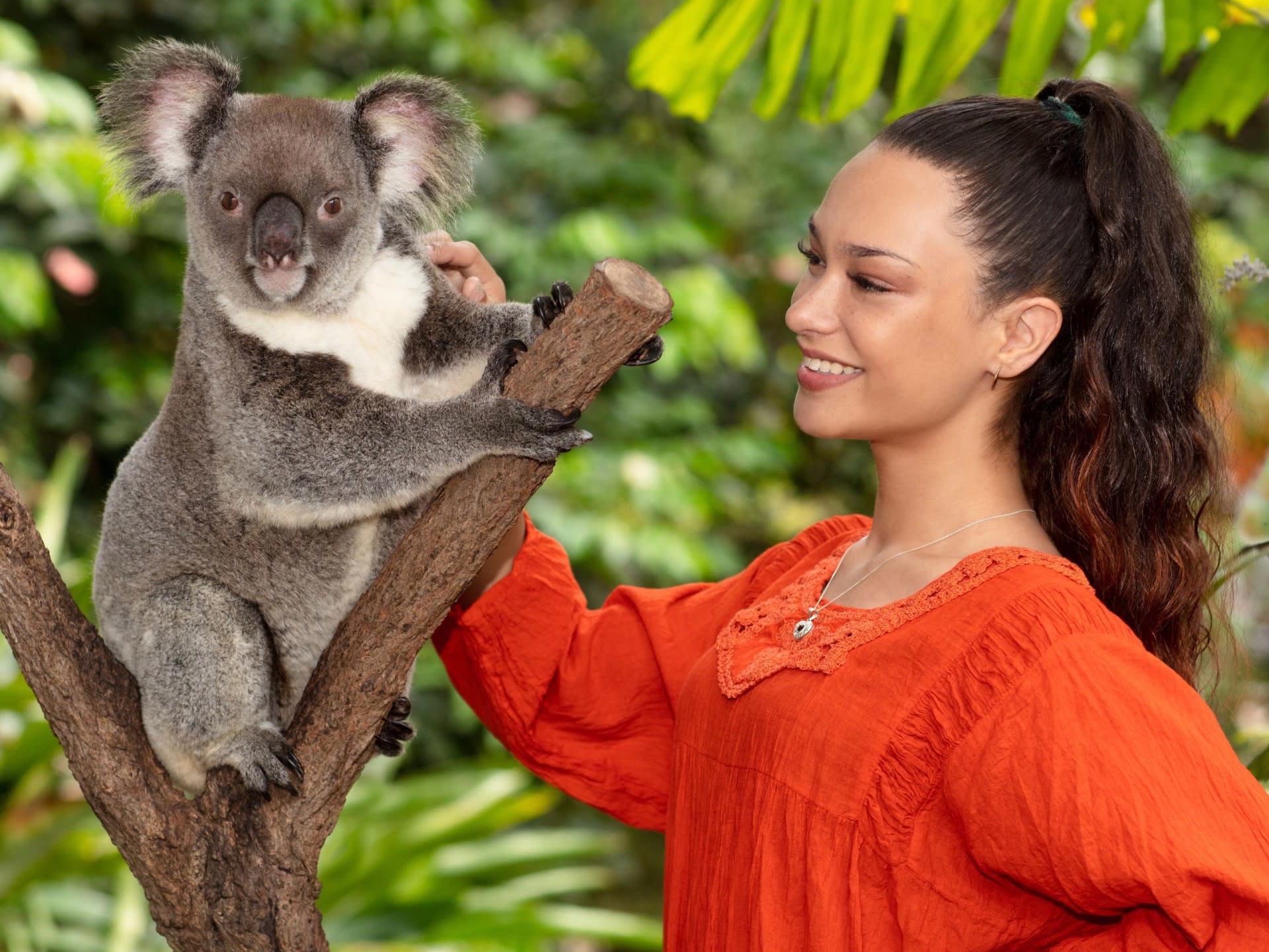 A woman in an orange blouse stands next to a koala perched on a tree branch in a lush, green outdoor setting.