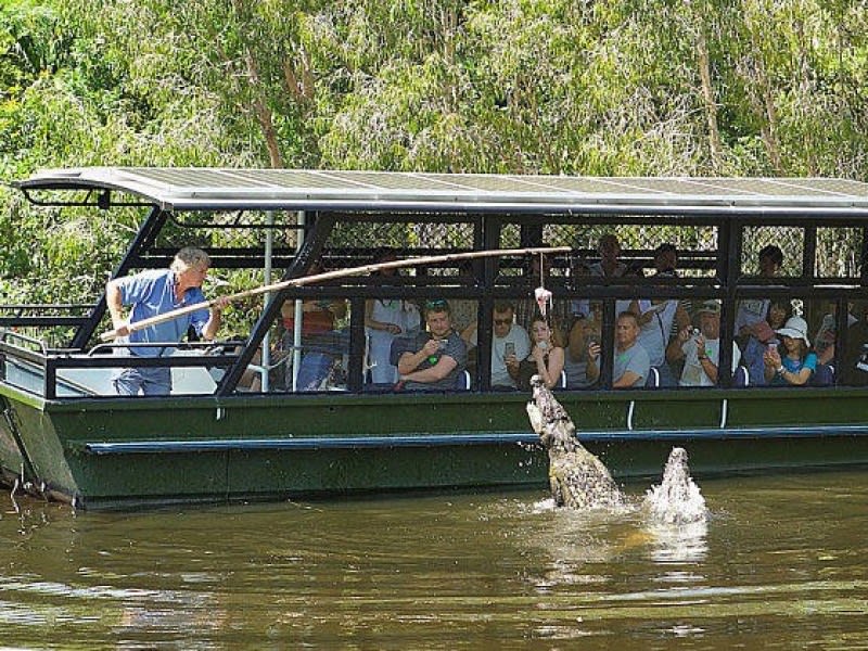 A man on a tour boat uses a stick to interact with a jumping crocodile in the water, as passengers watch from behind protective bars.
