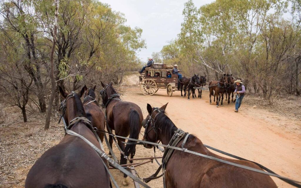 Two teams of horses pull carriages on a dry dirt road lined with sparse trees; several people are near the carriages.
