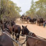 Two teams of horses pull carriages on a dry dirt road lined with sparse trees; several people are near the carriages.