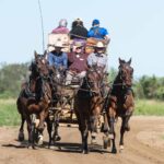 A group of people rides in a wooden wagon pulled by four horses down a dirt road, surrounded by greenery under a clear sky.