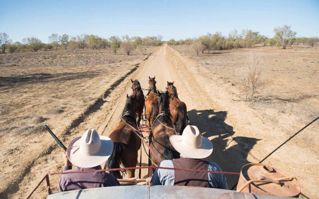 View from behind two people in wide-brim hats driving a horse-drawn carriage down a dirt road through a dry, sparse landscape.