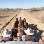 View from behind two people in wide-brim hats driving a horse-drawn carriage down a dirt road through a dry, sparse landscape.