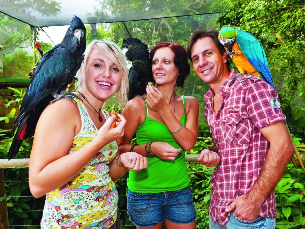 Three people standing outdoors in a lush, green setting with colorful parrots perched on their arms and shoulders, all smiling and interacting with the birds.