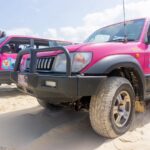 Two pink 4WD vehicles with tour company decals are parked on sandy terrain under a partly cloudy sky.