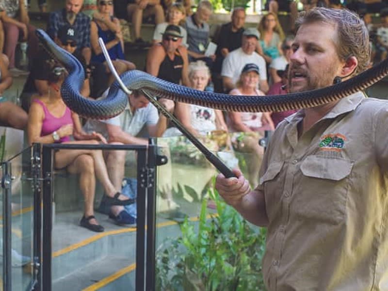 A man in a khaki shirt holds a large black snake with a snake hook in front of an audience seated on steps.