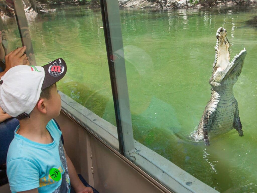A child on a boat observes a large crocodile with its mouth open in the water, separated by a glass barrier.