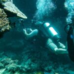 Two scuba divers swim underwater near a coral reef; one diver is photographing the coral while the other follows nearby.