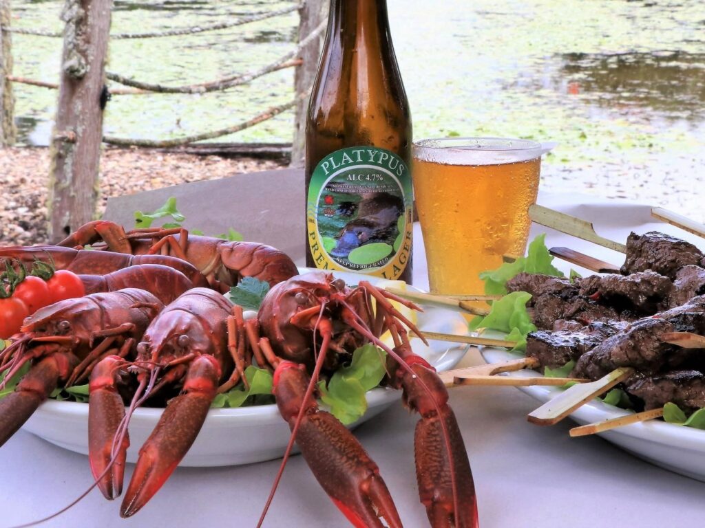 A plate of cooked crawfish, a bottle and glass of beer, and a plate of grilled meat skewers are arranged on a table outdoors near a body of water.